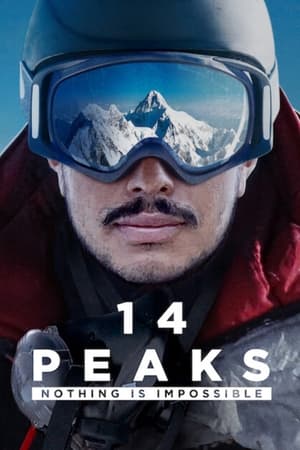 14 Peaks: Nothing Is Impossible (2021) Hindi Dual Audio 350MB Movie Poster