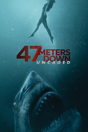 47 Meters Down: Uncaged (2019) Hindi Dual Audio 400MB Movie Poster