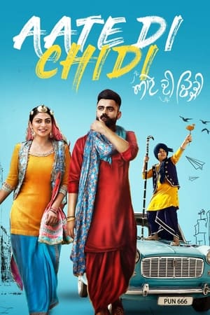 Aate di chidi (2018) Punjabi Movie [1GB] Movie Poster