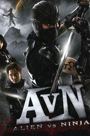 Alien vs Ninja 2010 Hindi Dual Audio 270MB Movie Poster