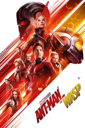 Ant-Man and the Wasp 2018 Movie (English) [300MB] Movie Poster