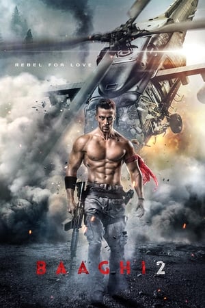 Baaghi 2 2018 Hindi Movie Pre- [170MB] Movie Poster