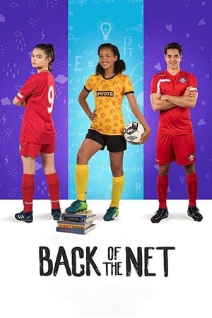 Back of the Net (2019) Hindi Dual Audio [800MB] Movie Poster