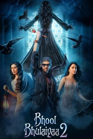 Bhool Bhulaiyaa 2 2022 Hindi Movie – Movie Poster