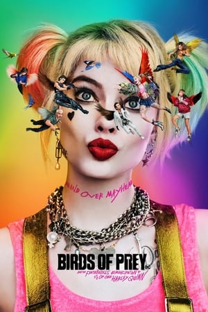 Birds of Prey (2020) Hindi (ORG) Dual Audio [1.1GB] Movie Poster