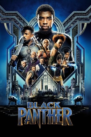 Black Panther (2018) Dual Audio Hindi Full Movie - 1.2GB Movie Poster
