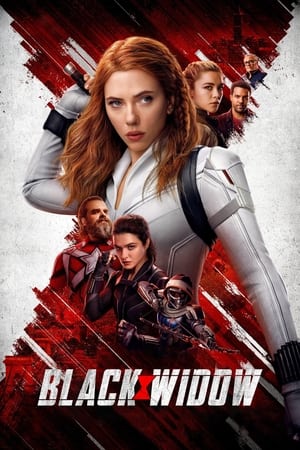 Black Widow (2021) Hindi Dual Audio 450MB Movie Poster