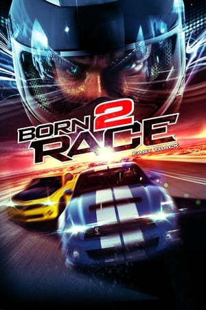 Born to Race Fast Track 2014 Hindi Dual Audio 320MB Movie Poster