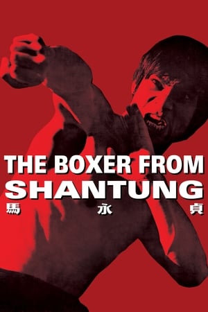 Boxer from Shantung (1972) Hindi Dual Audio 400MB Movie Poster