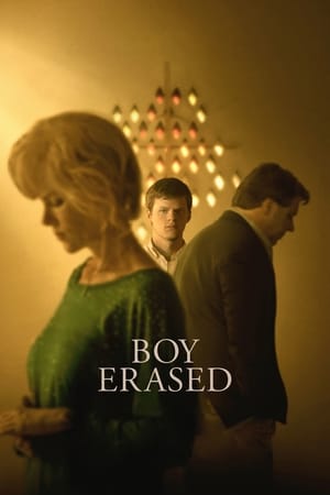 Boy Erased (2018) Hindi Dual Audio 380MB Movie Poster