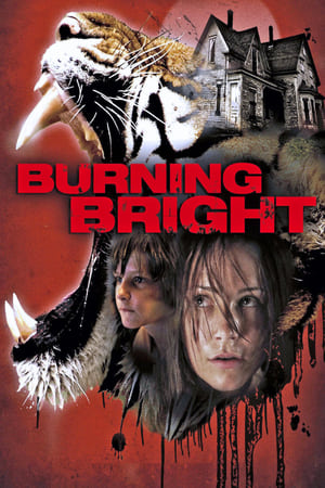 Burning Bright (2010) Hindi Dual Audio 300MB Movie Poster