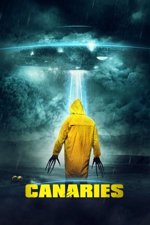 Canaries (2017) Hindi Dual Audio [840MB] Movie Poster