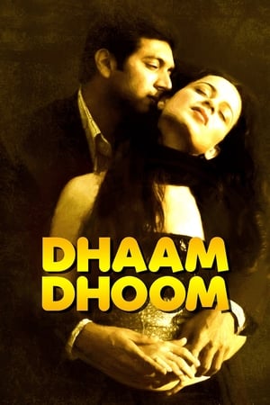 Dhaam Dhoom 2008 Dual Audio [Hindi - Tamil] 430MB Download Movie Poster