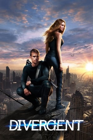 Divergent (2014) 100mb Hindi Dual Audio movie Download Movie Poster