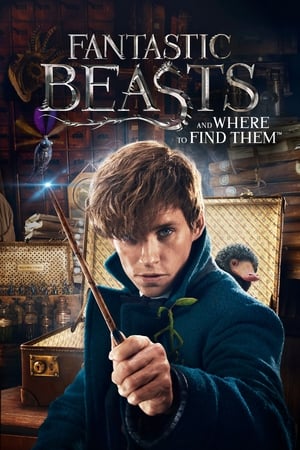 Fantastic Beasts and Where to Find Them 2016 Dual Audio (Hindi) [300MB] Movie Poster