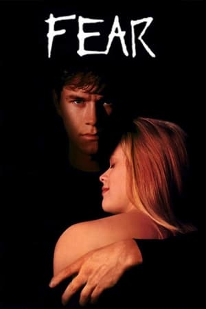 Fear (1996) Hindi Dual Audio 300MB Movie Poster