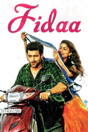 Fidaa 2017 [Hindi - Telugu] Dual Audio 450MB Movie Poster