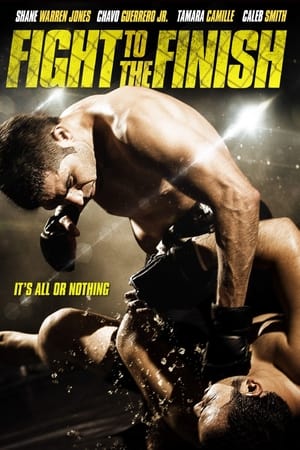 Fight To The Finish (2016) Hindi Dual Audio With ESubs Movie Poster
