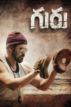 Guru (2017) Hindi Dual Audio 450MB Movie Poster