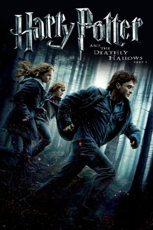 Harry Potter and the Deathly Hallows 2010 – Part 1 Hindi Dubbed [1.0GB] Download Movie Poster