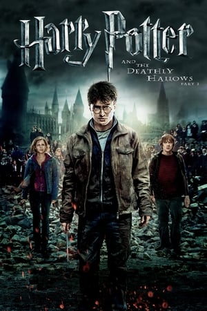 Harry Potter and the Deathly Hallows 2011 – Part 2 Hindi Dubbed [1.0GB] Download Movie Poster