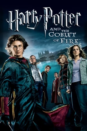 Harry Potter and the Goblet of Fire 2005 Hindi Dual Audio Movie Poster