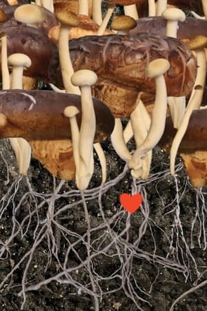 Heaven (2022) Hindi Movie – Movie Poster