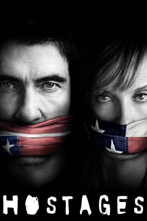 Hostages (2019) Hindi Web Series[Complete] Movie Poster