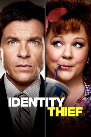 Identity Thief (2013) Hindi Dual Audio [1GB] Movie Poster