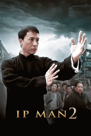 Ip Man 2 (2010) Hindi Dual Audio 350MB Movie Poster