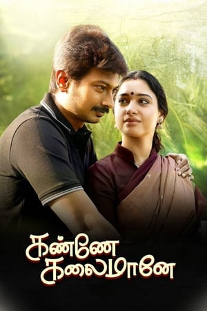 Kanne Kalaimaane 2019 (Hindi - Tamil) Dual Audio 450MB Movie Poster