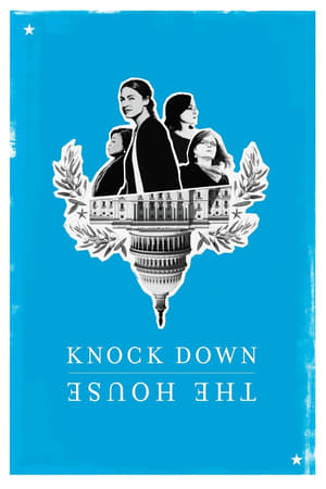 Knock Down the House (2019) Hindi Dual Audio 300MB