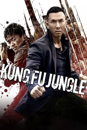 Kung Fu Jungle (2014) Hindi Dual Audio 300MB Movie Poster