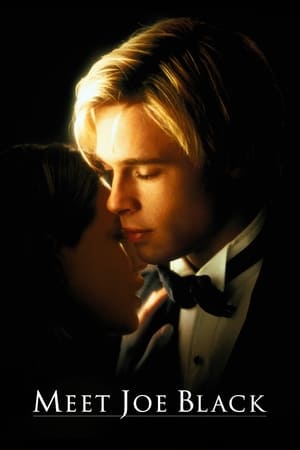 Meet Joe Black 1998 Dual Audio Hindi 550MB Movie Poster