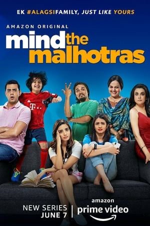 Mind the Malhotras (2019) Season 1 Hindi Web Series[Complete] Movie Poster
