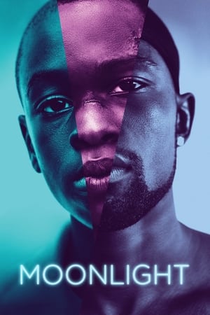 Moonlight (2016) Full Movie [] 800MB Movie Poster