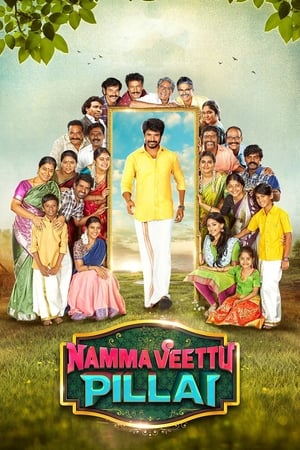 Namma Veettu Pillai (2019) (Hindi – Tamil) Dual Audio 450MB Movie Poster
