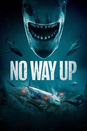No Way Up (2024) Hindi Dual Audio – – Movie Poster