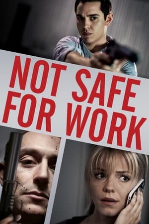Not Safe for Work 2014 Hindi Dual Audio [590MB] Movie Poster