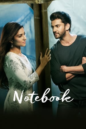 Notebook (2019) Hindi Movie [1.4GB] Movie Poster