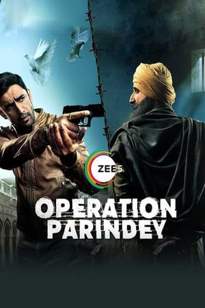 Operation Parindey 2020 Hindi Movie - [200MB] Movie Poster
