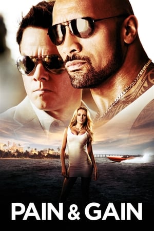 Pain & Gain 2013 400MB Dual Audio Hindi Download Movie Poster
