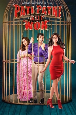 Pati Patni Aur Woh 2019 Hindi Movie [1.2GB] Movie Poster