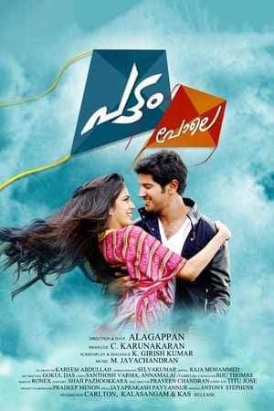Pattam Pole (2013) (Hindi – Malayalam) Dual Audio 400MB Movie Poster