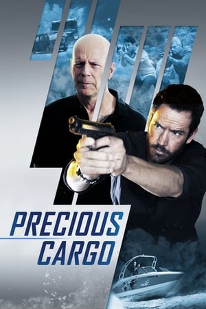 Precious Cargo (2016) Hindi Dual Audio 300MB Movie Poster