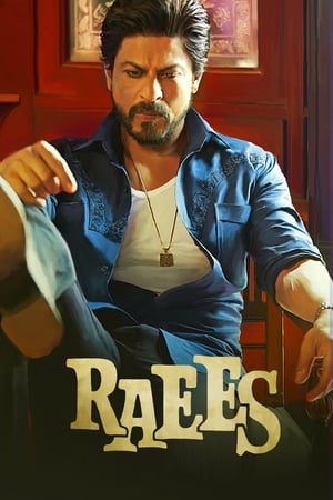 Raees 2017 Full Movie [1.2GB] Download Movie Poster