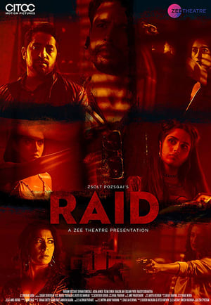 Raid 2019 Hindi Movie - [250MB] Movie Poster
