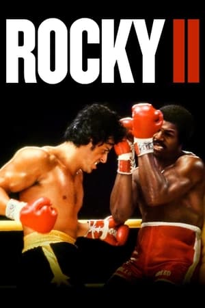 Rocky II (1979) Dual Audio Hindi Full Movie - 850MB Movie Poster