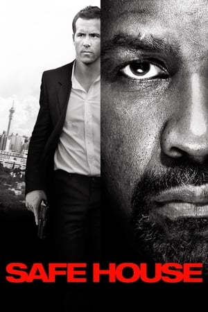 Safe House (2012) Hindi Dual Audio – 480p