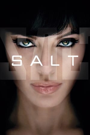 Salt (2010) Hindi Dual Audio [800MB] Movie Poster